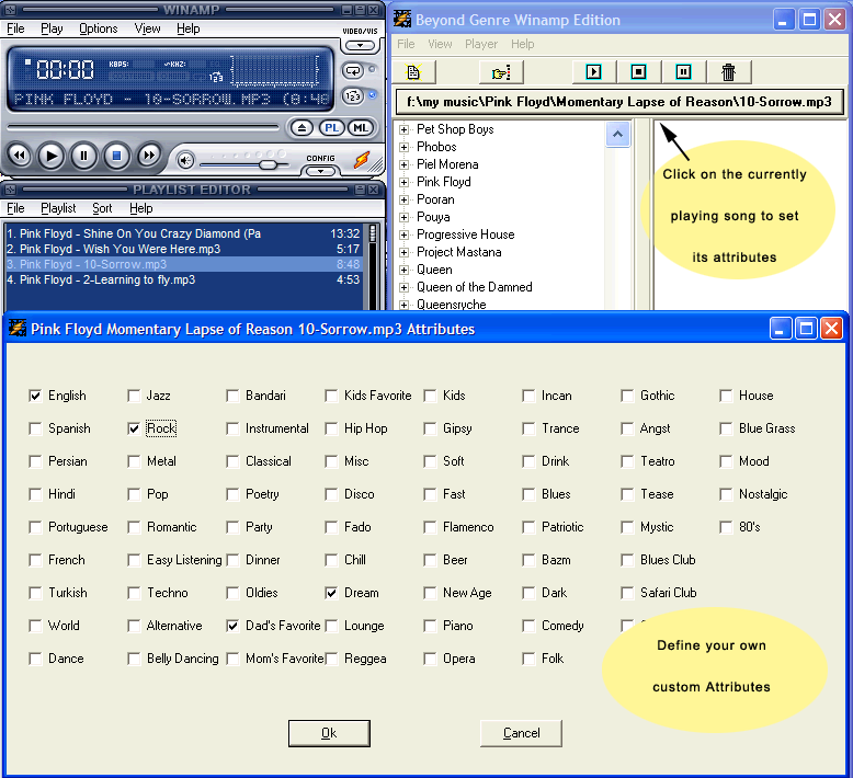 Winamp Music Organizer